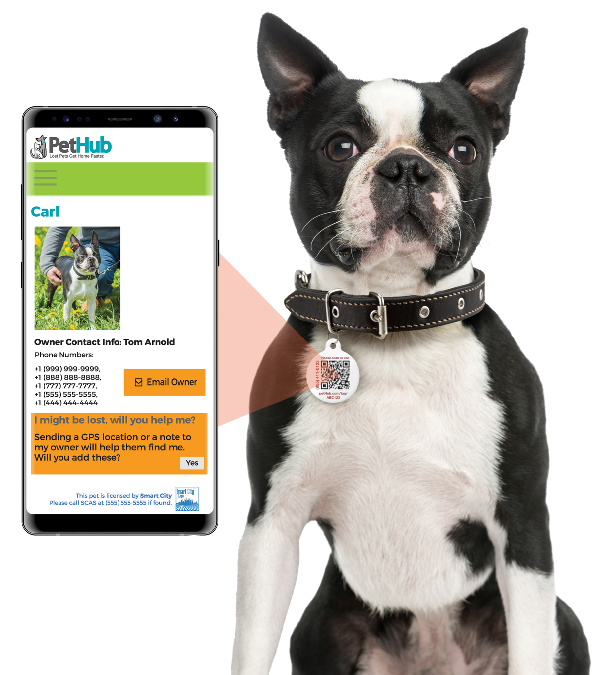 PetHub QR Pet ID Tag – Absent Without a Leash (AWOL)